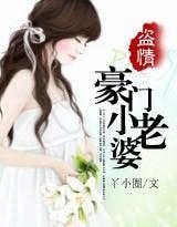 盜情：豪門小老婆