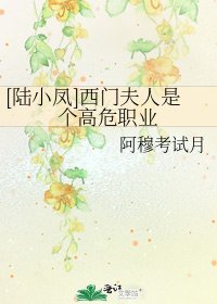 [陆小凤]西门夫人是个高危职业