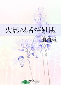 火影忍者特別版